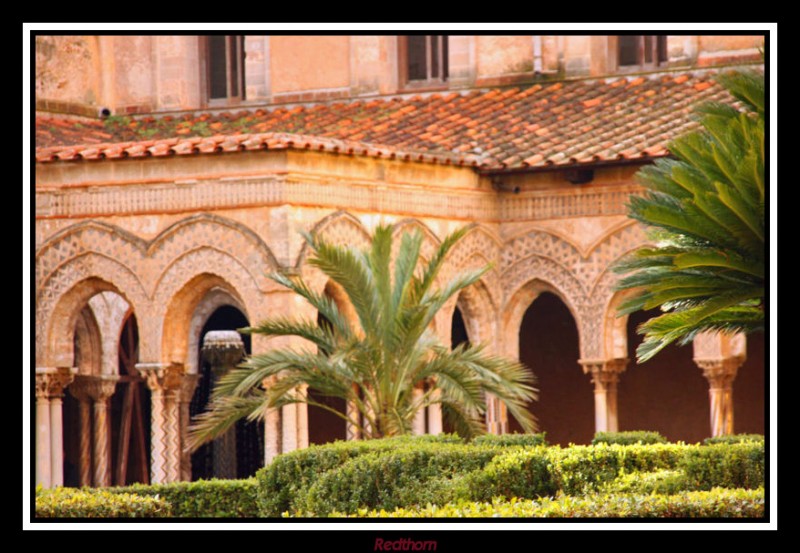 Jardines del claustro