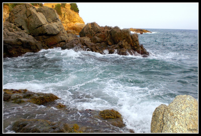 Solo Mar y Rocas