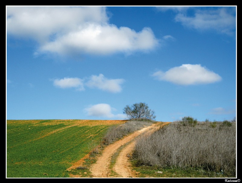 El camino que sube a la loma