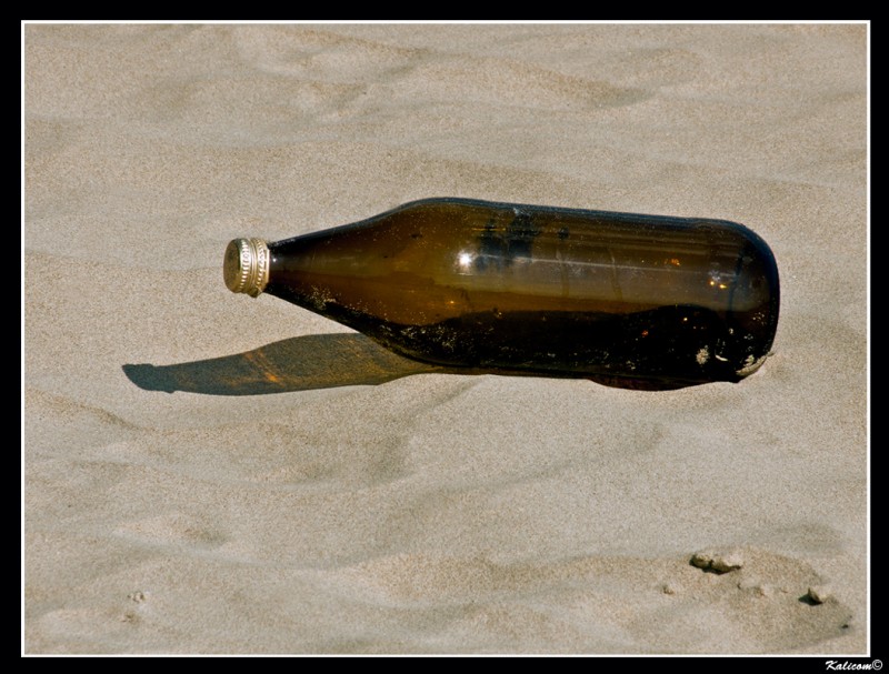 El mensaje es la botella