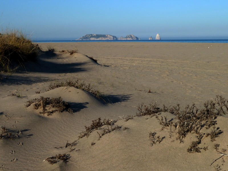 platja de la Fonollera