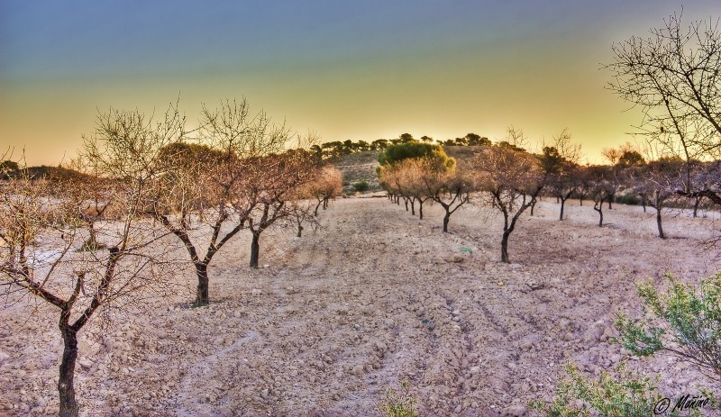 Colores por Murcia