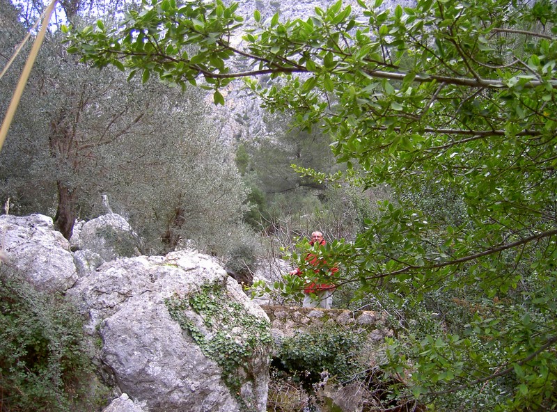 Escondido