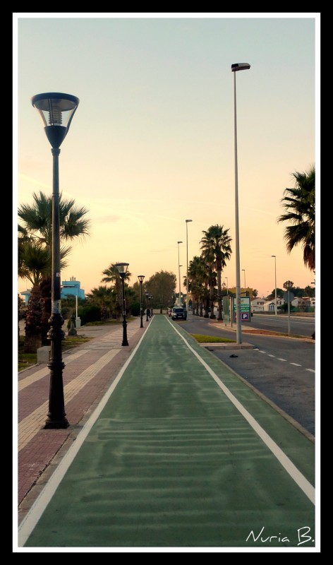 Camino de bicis