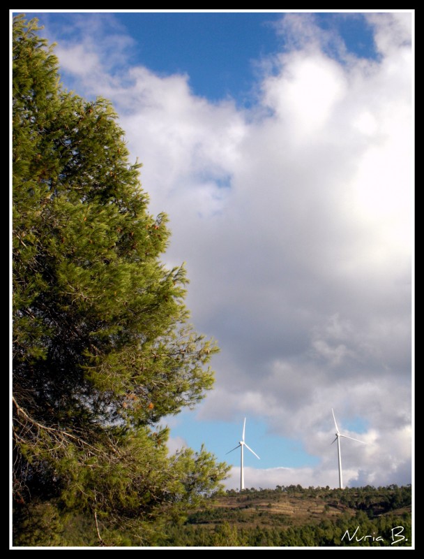 Pareja al viento