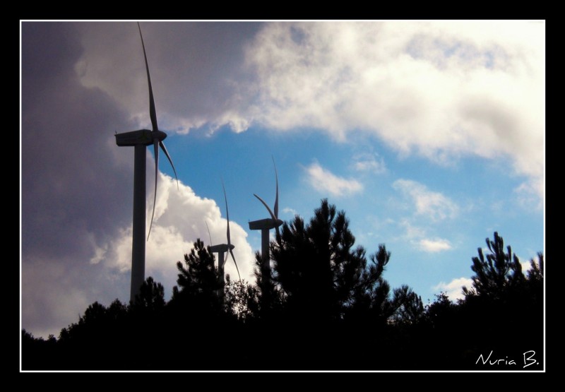 Moviendo el viento