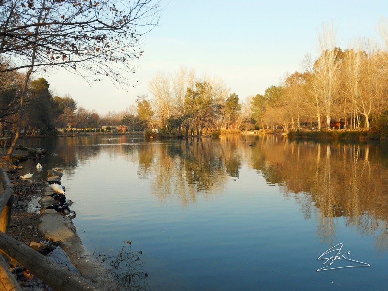 Albufera