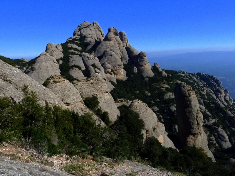 mazizo de Montserrat