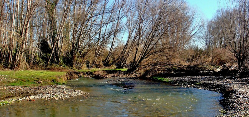 Rio La Tordera