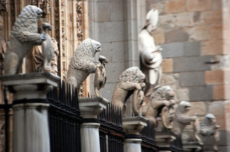 Leones de la catedral