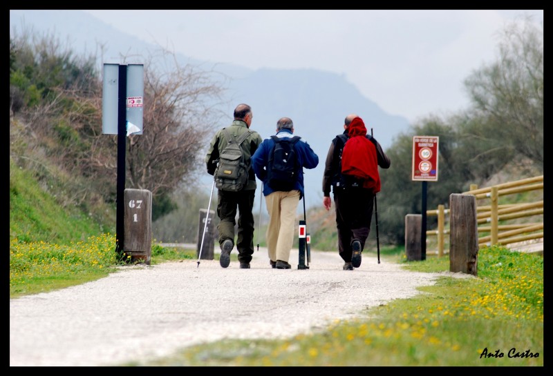 camino de palabras