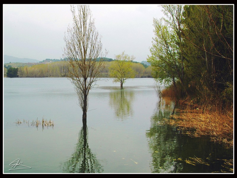 Sobre las aguas...