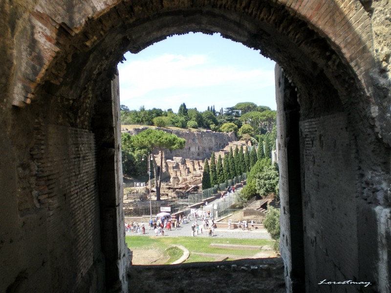 Interior  coliseo