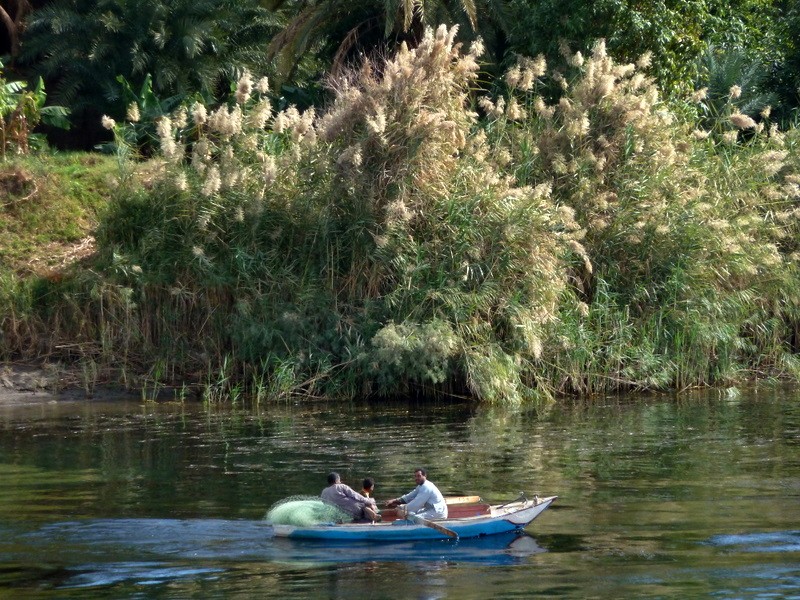 pesca y papiros