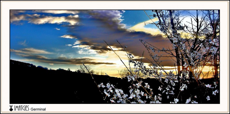 Amanecer con flores