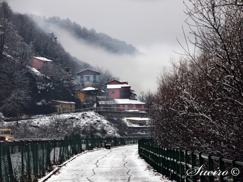 paseo nevado