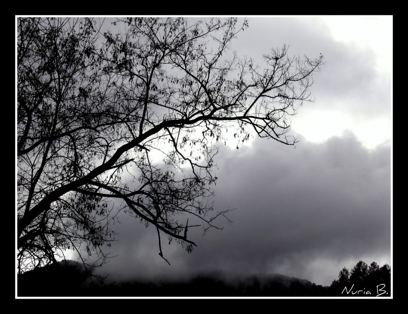 Esperando la tormenta