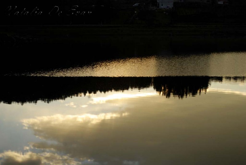 reflejos en Castadn