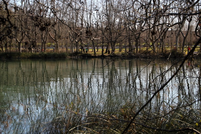 reflejo hivernal