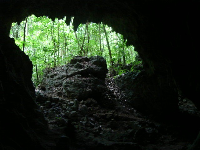 DESDE EL INFRAMUNDO (SEGUN PAKAL)