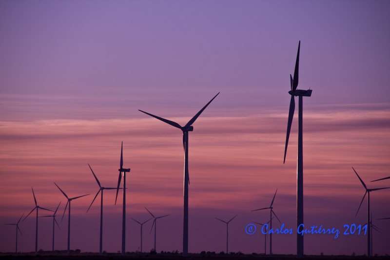 Eolicos en el atardecer