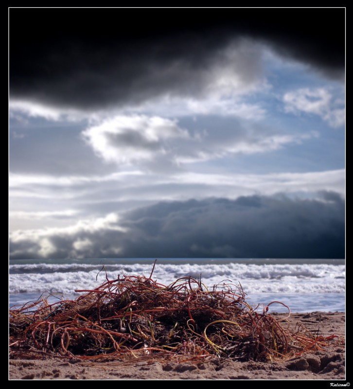Los restos del temporal
