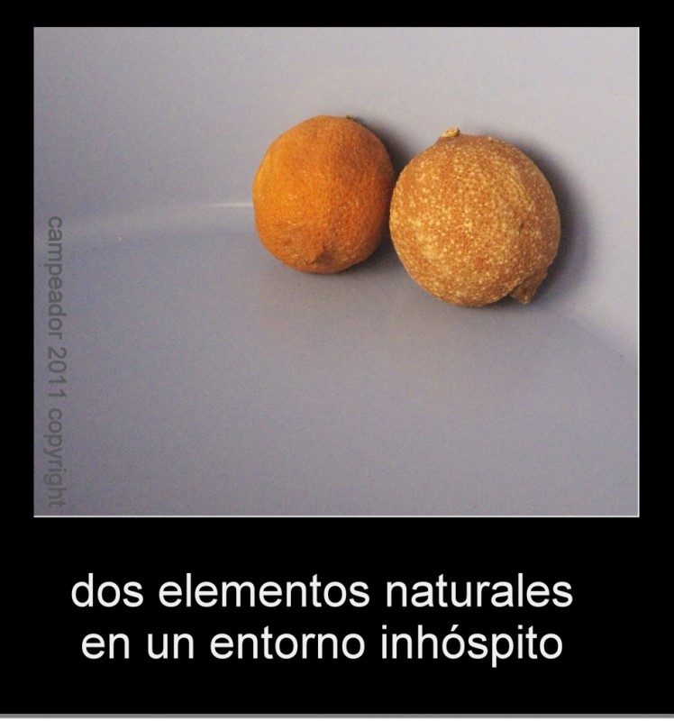 dos elementos naturales en un entorno inhspito