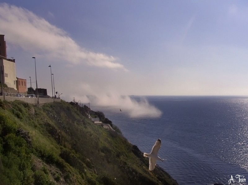 Niebla en el mar