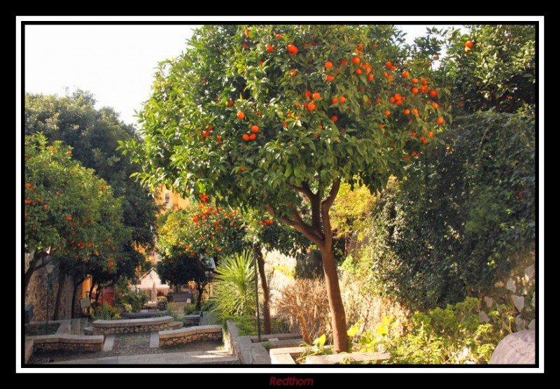 Jardines de Taormina