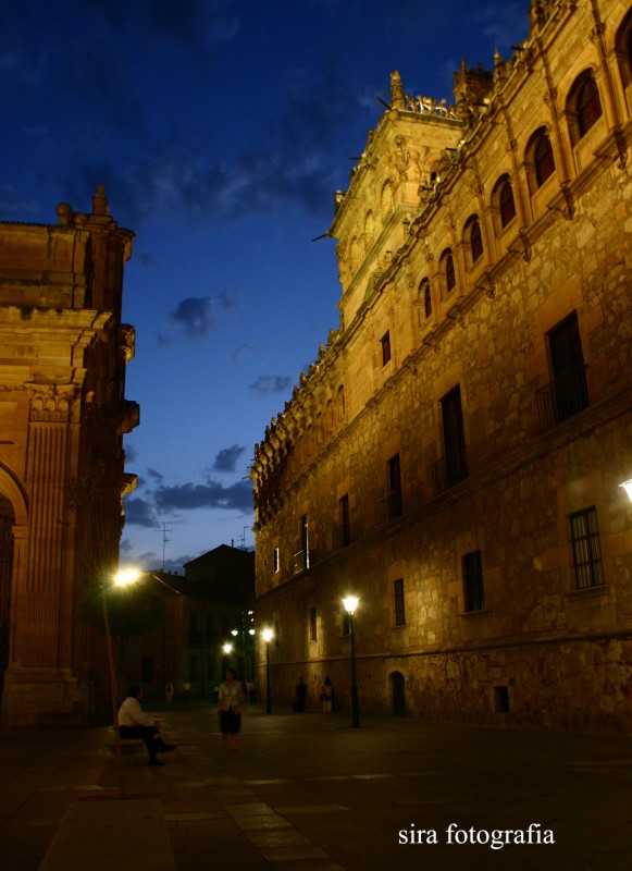 palacio monterrey