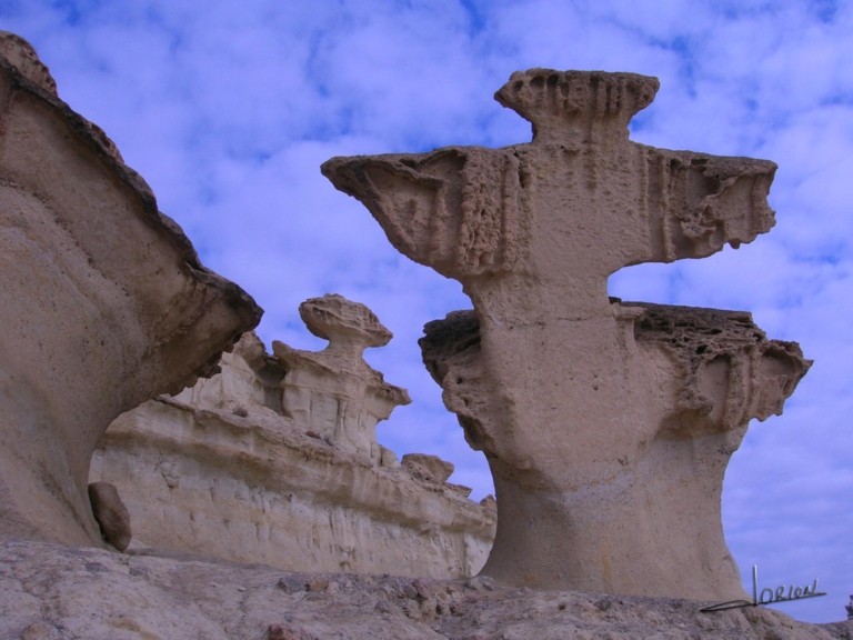 CAPRICHOS DE LA NATURALEZA