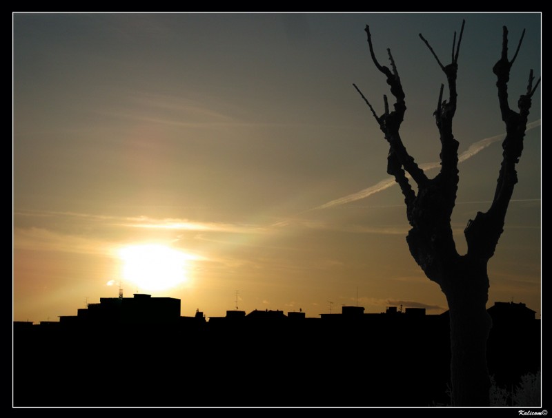 Amanece, que no es poco