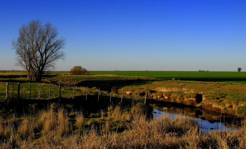 LA CANCIN DE UN ARROYO