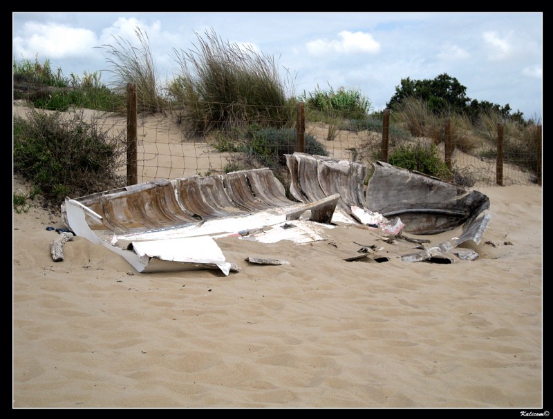 Vctima del temporal