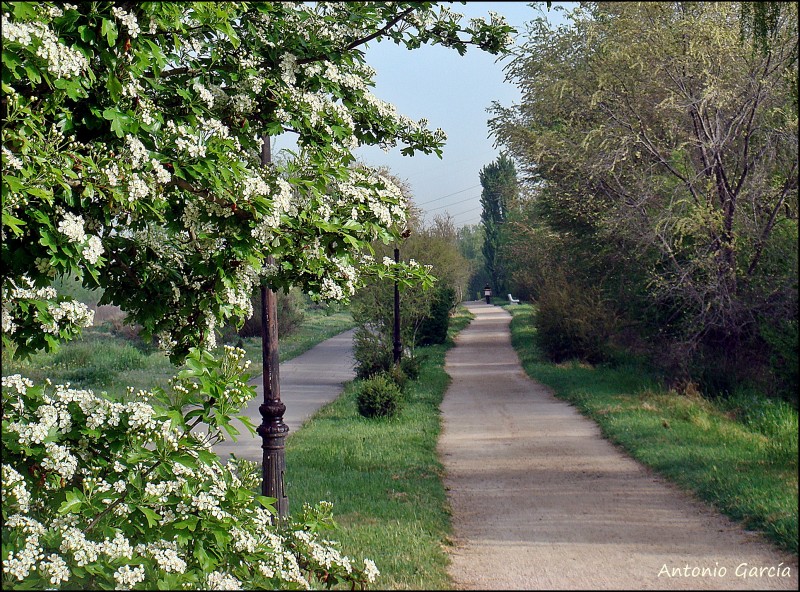 Refrescante paseo