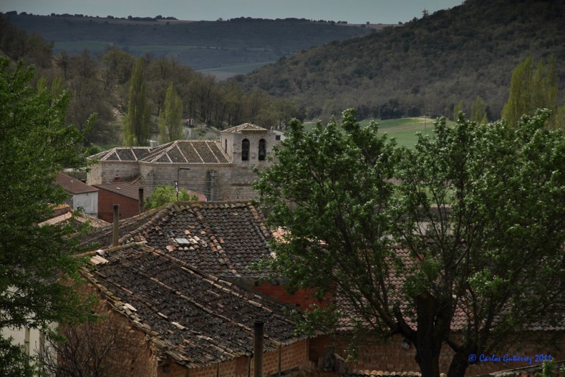 Corrales de Duero