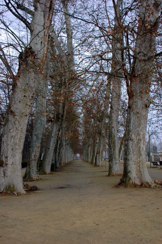 Paseo