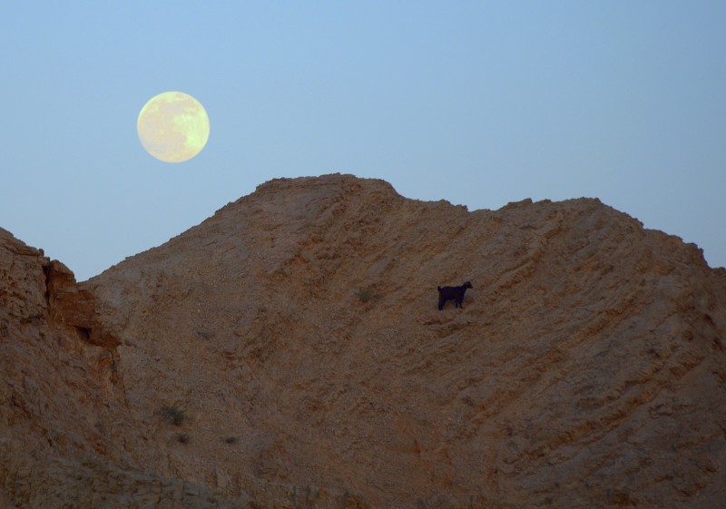 tarde de luna llena