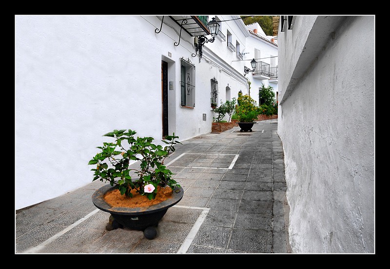 Caminando por Andalucia