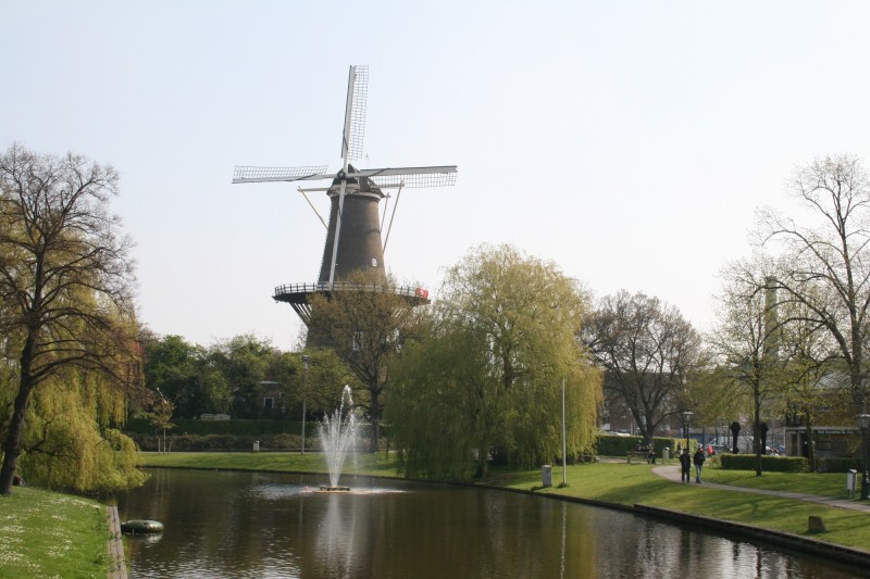 PAISAJE 2