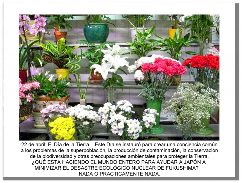 22 DE ABRIL: DA DE LA TIERRA