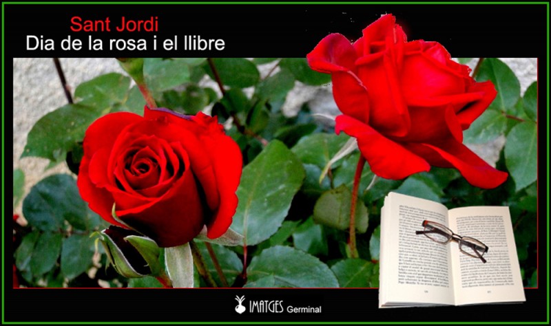 Rosas i libro