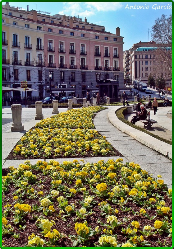 Plaza de Oriente