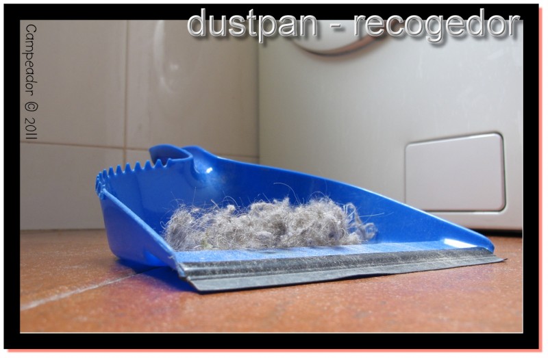 Dustpan - Recogedor