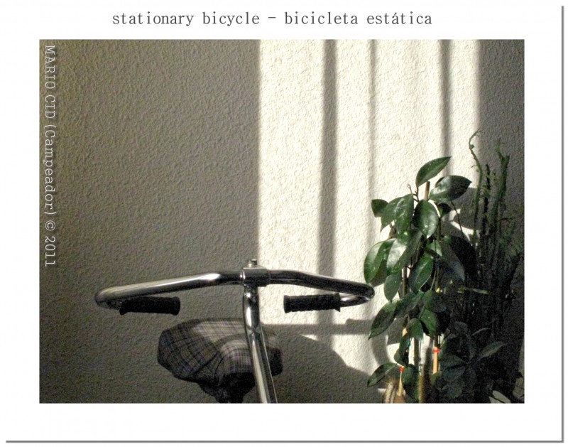 Stationary Bicycle - Bicicleta Esttica