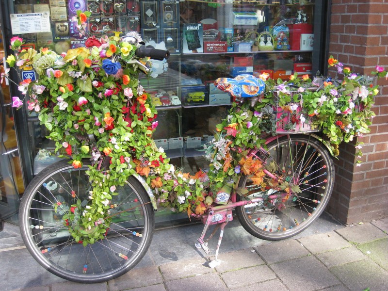 BICI CON FLORES