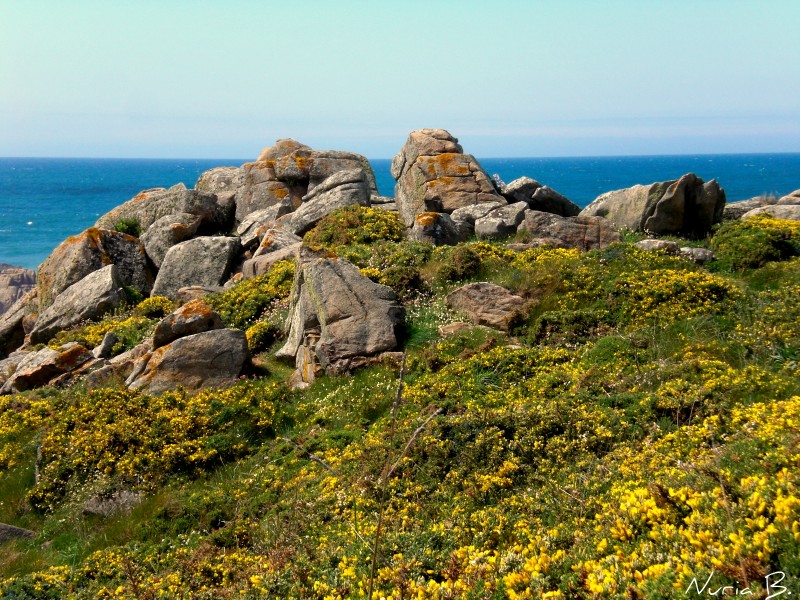 Entre el cielo y las rocas.