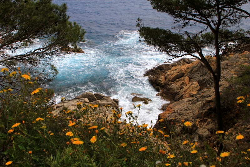 Cala Estreta