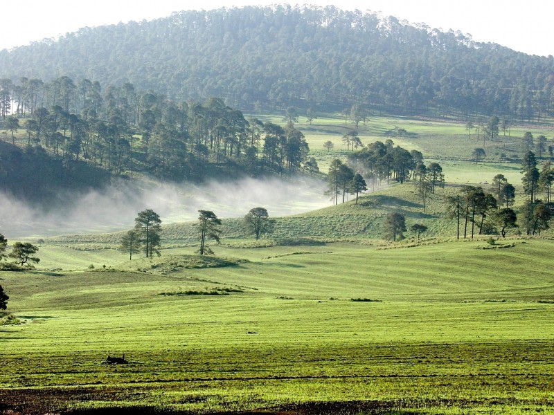 El Valle y la Niebla