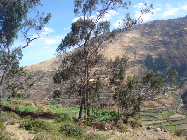 EL ALTO VALLE DE HUARAL